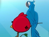 Angry Birds Hd 3