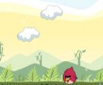 Angry Bird Bulutlarda